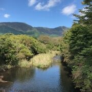 上流でも水量は豊富