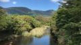 上流でも水量は豊富