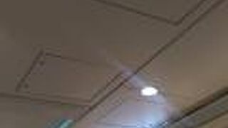 可愛らしい印象を受けました