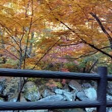 昇仙峡の紅葉