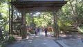 参拝者・登山者がくぐります