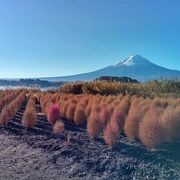 大石公園に