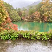 あまりに綺麗で翌日にも行きました