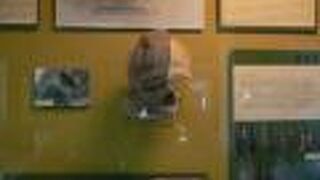 アナトリアに発祥した文明を展示