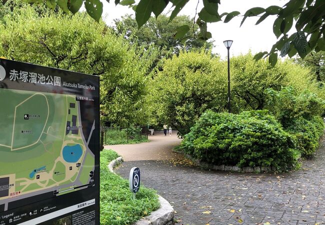 赤塚公園 クチコミ アクセス 営業時間 板橋 フォートラベル