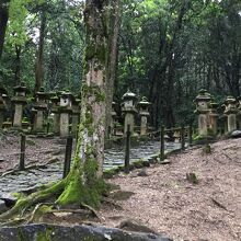 贅沢な時間の写真