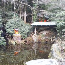 弁天様の弁天池とけけら木