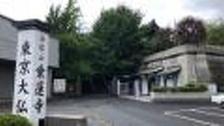 観光スポットが集まる！