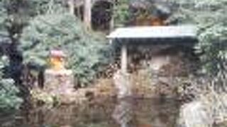 弁天池の奥の方に