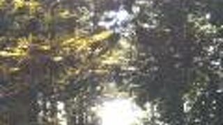 気が満ちている場所に