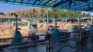 くるくるまわって、楽しい✩