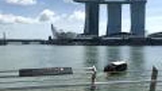 SPECTRA見物スポット