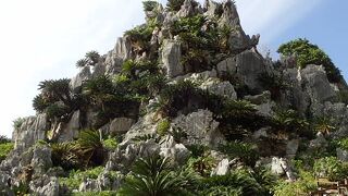 整備されていて手軽に歩けます