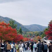 参道の紅葉が綺麗でした