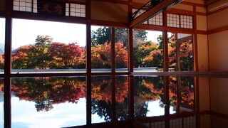 紅葉の床もみじを見てきました。夏の新緑の床もみじ以上の人気です。午前中、早い時間に行くことをお勧めします。