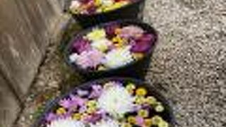 健脚の人にはおすすめ