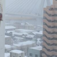 ベイブリッジと八甲田丸