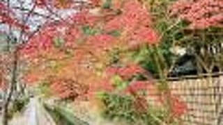 紅葉が綺麗なのは南禅寺側入口付近だけであとは退屈な道