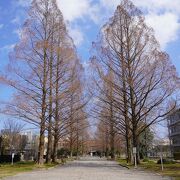 広島大学の跡地に整備された公園