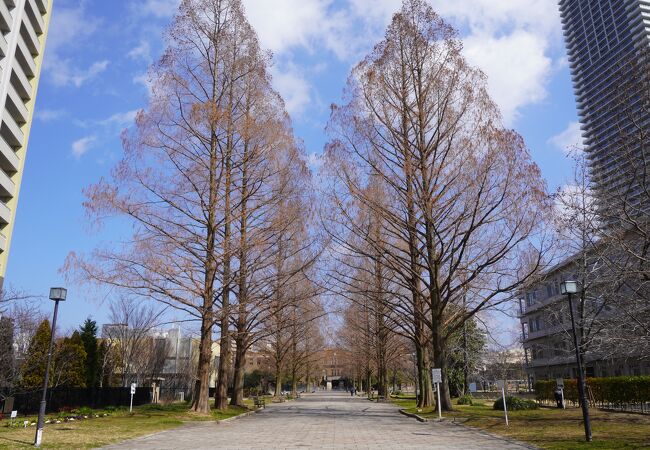 広島大学の跡地に整備された公園