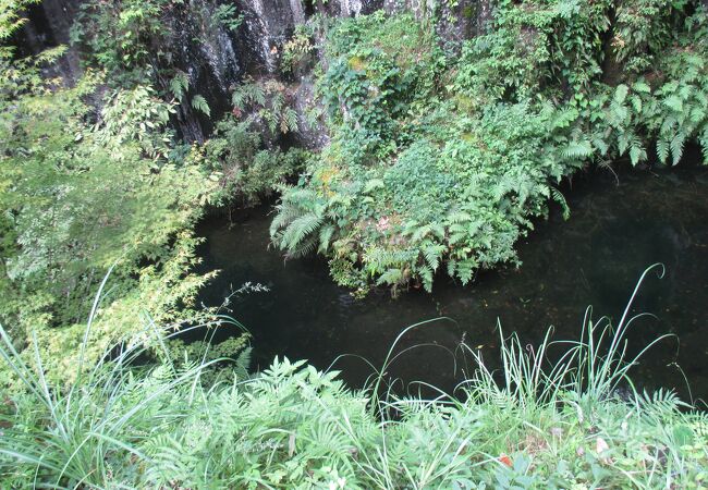 泉酒が溜まっている？