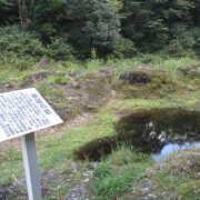 一見すると、ちょっとした水溜り？