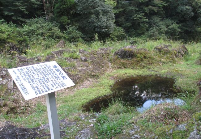 一見すると、ちょっとした水溜り？