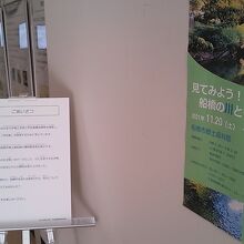 海老川の生態などを紹介「船橋の川と自然」展を開催中