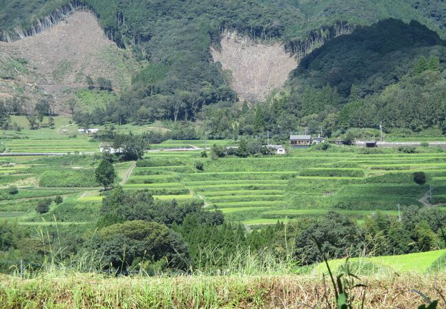 対岸側から見た方が良いです。