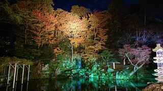 とてもきれいな庭園です