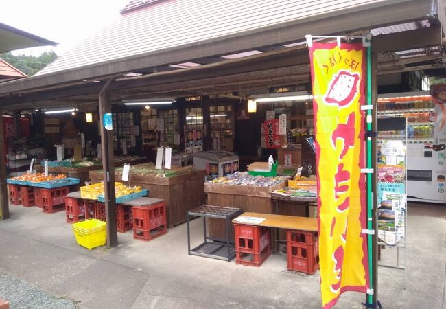 餃子の村長の「にんにくがっつり餃子」600円