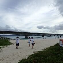 島のビーチと橋