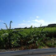 海中道路を渡っていくと最後の島