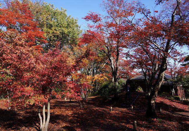 想像より小さな庭園