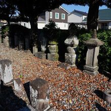 瑞雲寺