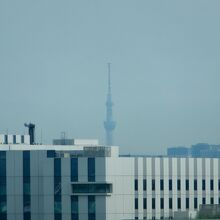 スカイツリーも見えます。