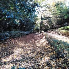 空堀が残っています