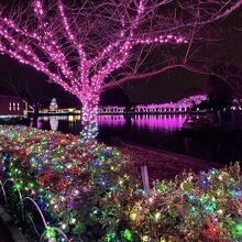 イルミネーション