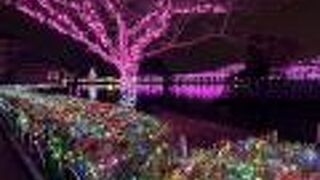 音楽のチョイスが楽しいイルミネーション