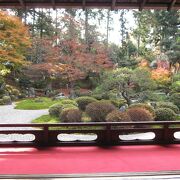 曼殊院門跡、紅葉も綺麗ですがそれ以上に印象的な幽霊の掛け軸
