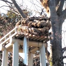 櫓の上の『蛇』の頭部