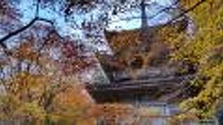 丹波地方第一番の紅葉スポット