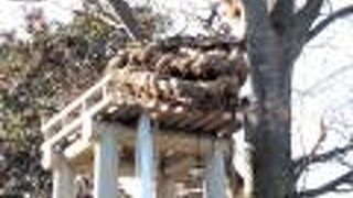 紅葉を探しに再度訪問