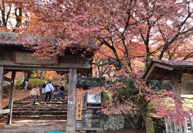 丹波地方で二番目の紅葉スポットとのこと