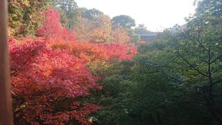 紅葉シーズンは混雑しています