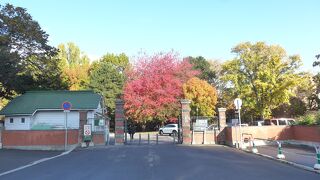紅葉がとても綺麗な季節に大学内を散策しました!!