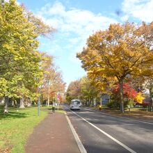 キャンパス内メインストリート