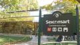 北海道大学キャンパス内にある北海道を代表するコンビニで買い物をしました!!