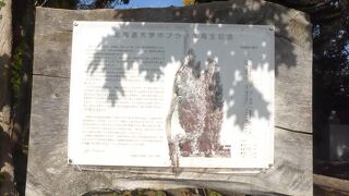 2004年9月の台風18号で半数近く倒壊した並木も今は約80mが散策可能となっていました!!