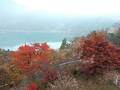 冬桜の宿 神泉 写真